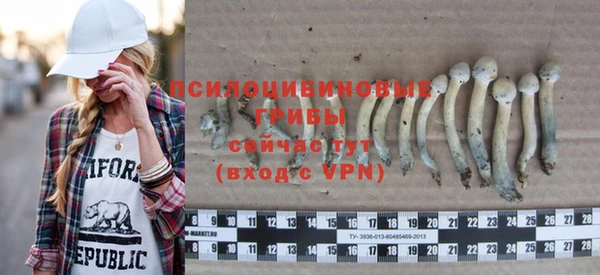 круглые Алзамай