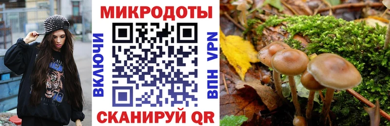 Галлюциногенные грибы MAGIC MUSHROOMS  МЕГА как войти  Исилькуль 