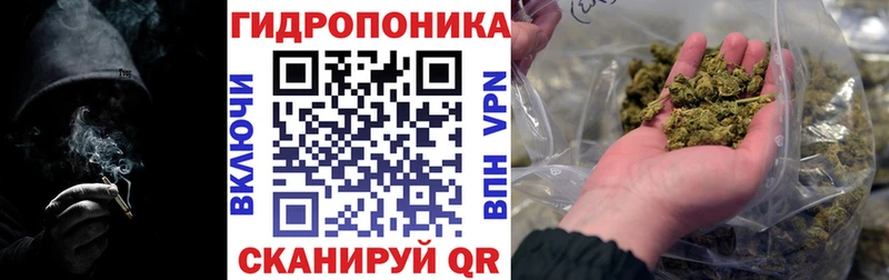 что такое Исилькуль Бошки Шишки Amnesia